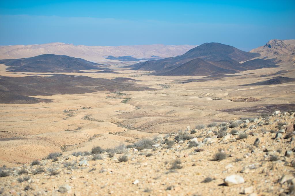 Alpaca Farm - חוות האלפקות Villa Mitzpe Ramon Exteriör bild