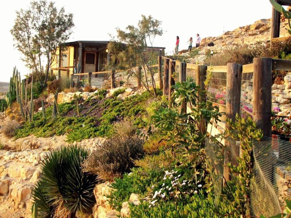 Alpaca Farm - חוות האלפקות Villa Mitzpe Ramon Exteriör bild