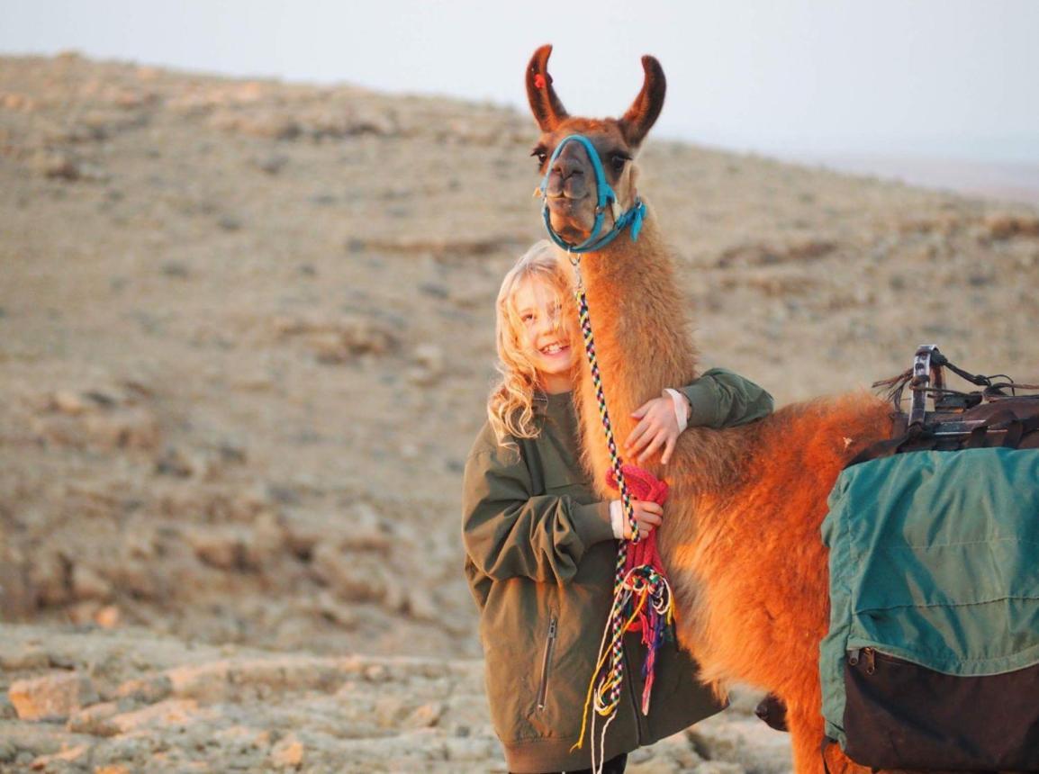 Alpaca Farm - חוות האלפקות Villa Mitzpe Ramon Exteriör bild