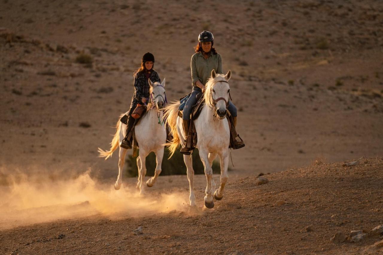 Alpaca Farm - חוות האלפקות Villa Mitzpe Ramon Exteriör bild