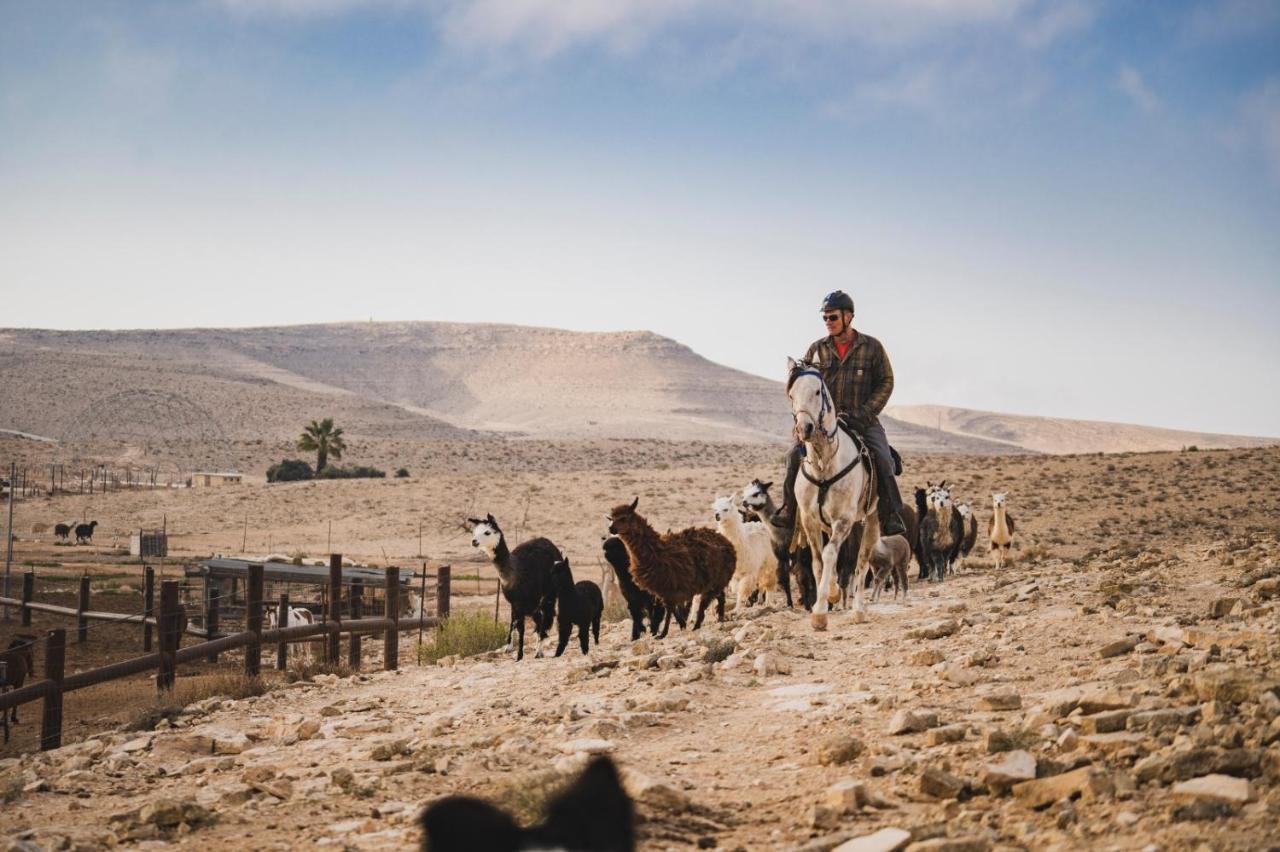 Alpaca Farm - חוות האלפקות Villa Mitzpe Ramon Exteriör bild