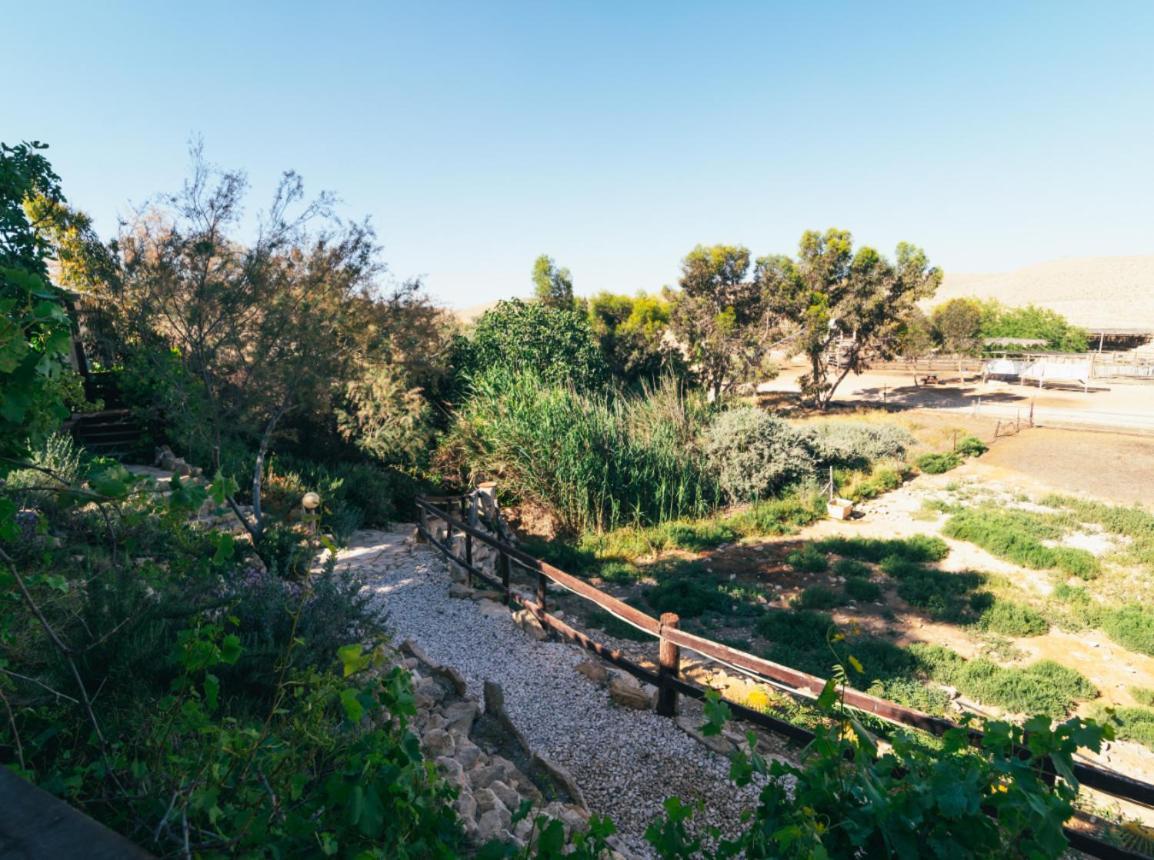 Alpaca Farm - חוות האלפקות Villa Mitzpe Ramon Exteriör bild