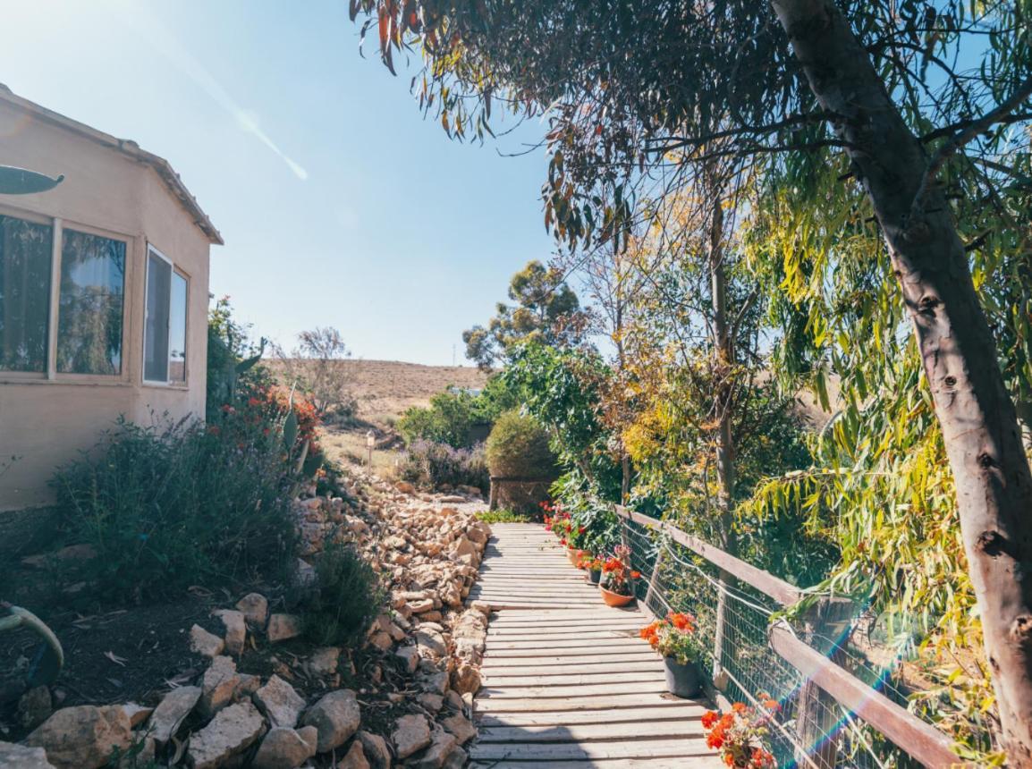 Alpaca Farm - חוות האלפקות Villa Mitzpe Ramon Exteriör bild