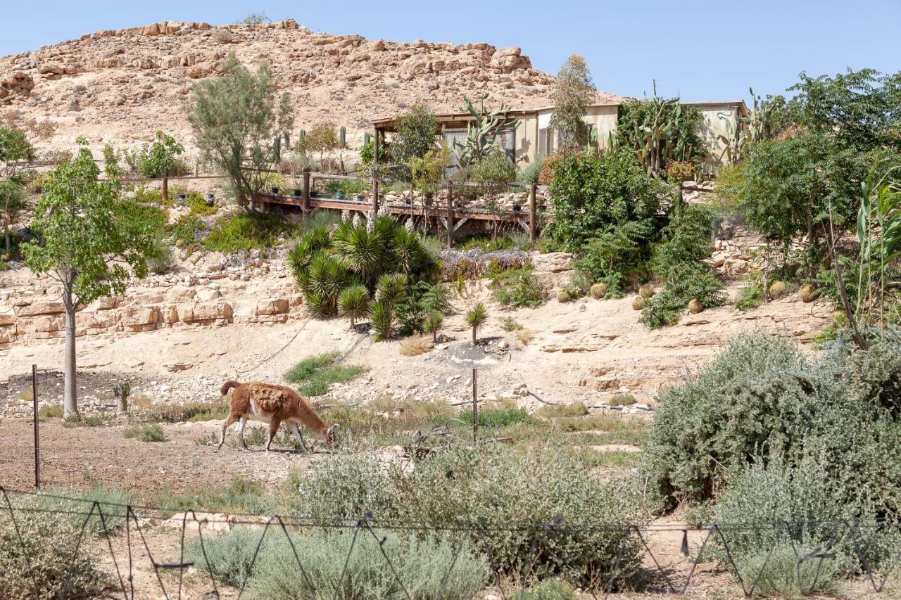 Alpaca Farm - חוות האלפקות Villa Mitzpe Ramon Exteriör bild