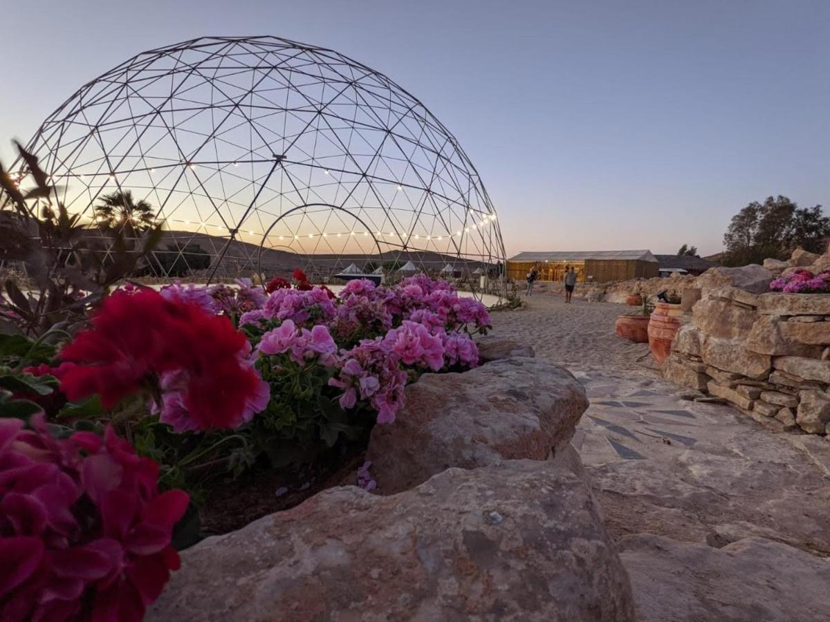 Alpaca Farm - חוות האלפקות Villa Mitzpe Ramon Exteriör bild