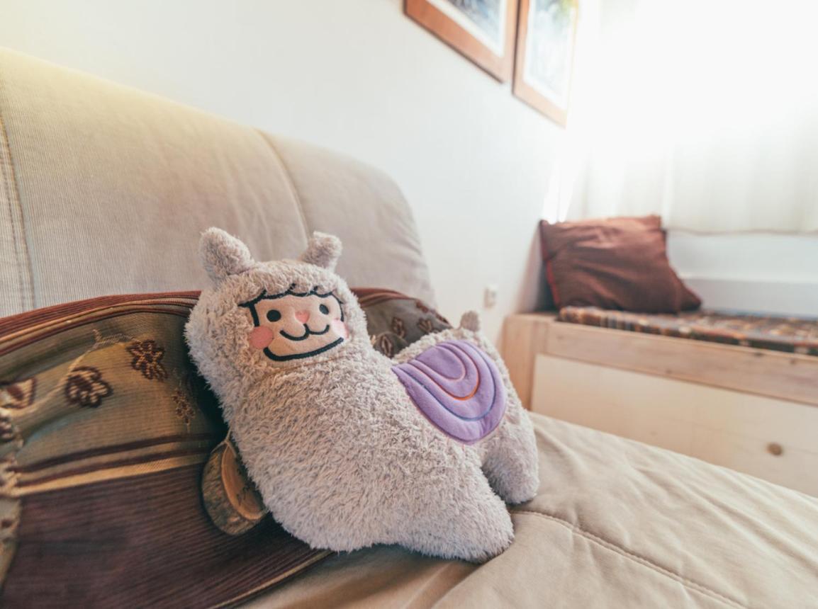 Alpaca Farm - חוות האלפקות Villa Mitzpe Ramon Exteriör bild