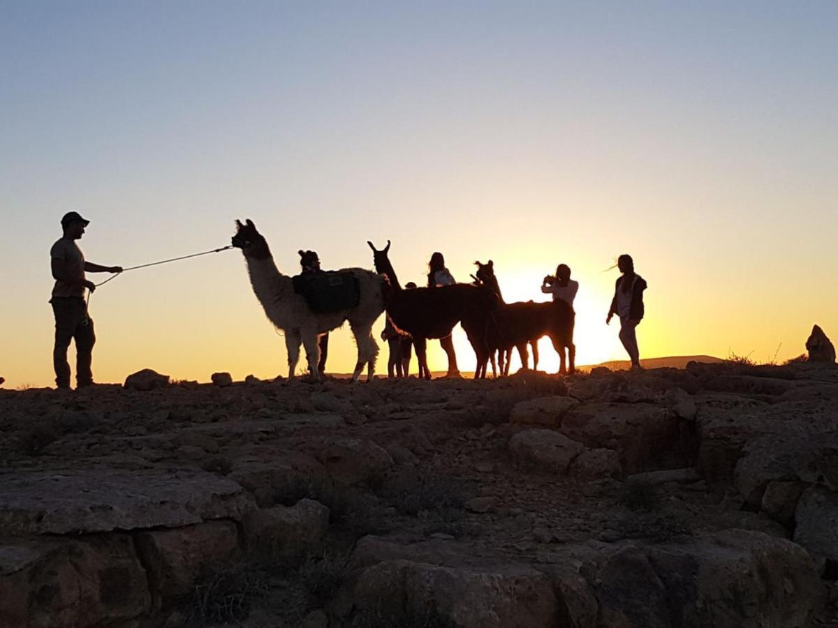 Alpaca Farm - חוות האלפקות Villa Mitzpe Ramon Exteriör bild