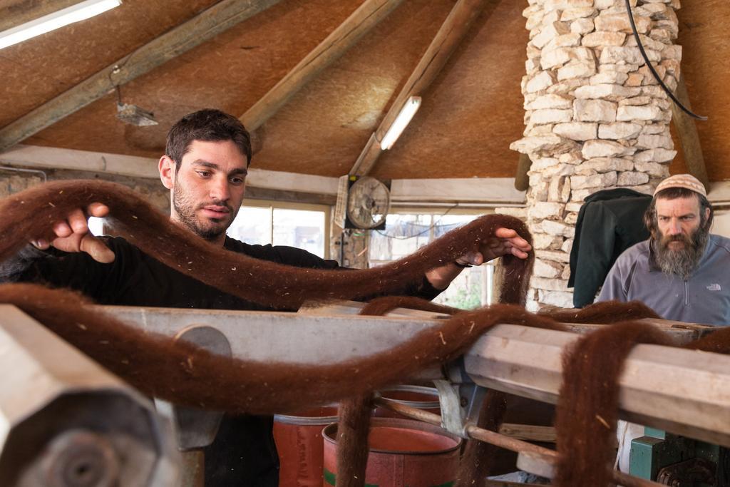 Alpaca Farm - חוות האלפקות Villa Mitzpe Ramon Exteriör bild
