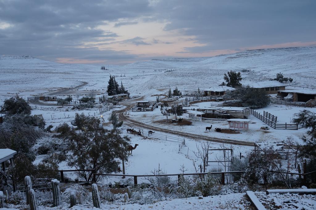Alpaca Farm - חוות האלפקות Villa Mitzpe Ramon Exteriör bild