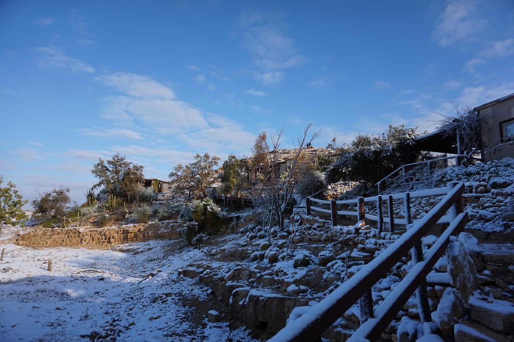 Alpaca Farm - חוות האלפקות Villa Mitzpe Ramon Exteriör bild