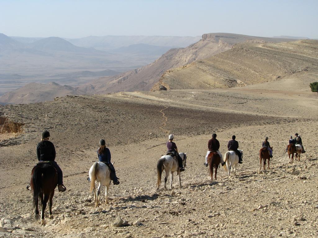 Alpaca Farm - חוות האלפקות Villa Mitzpe Ramon Exteriör bild