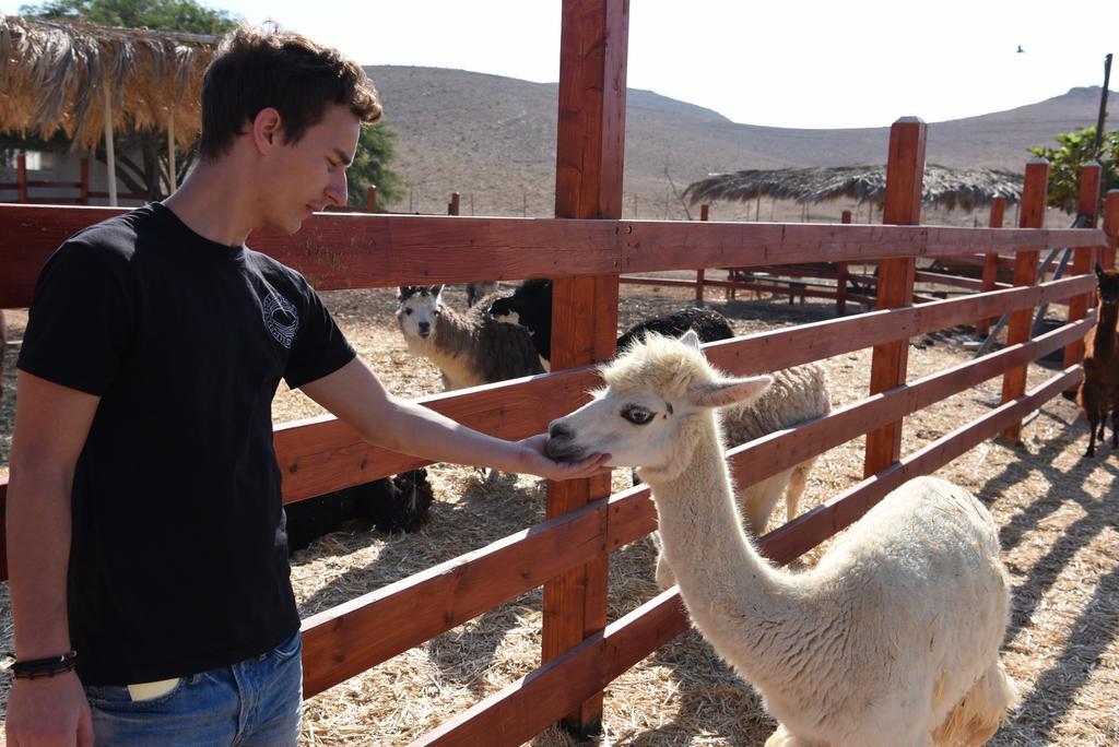 Alpaca Farm - חוות האלפקות Villa Mitzpe Ramon Exteriör bild
