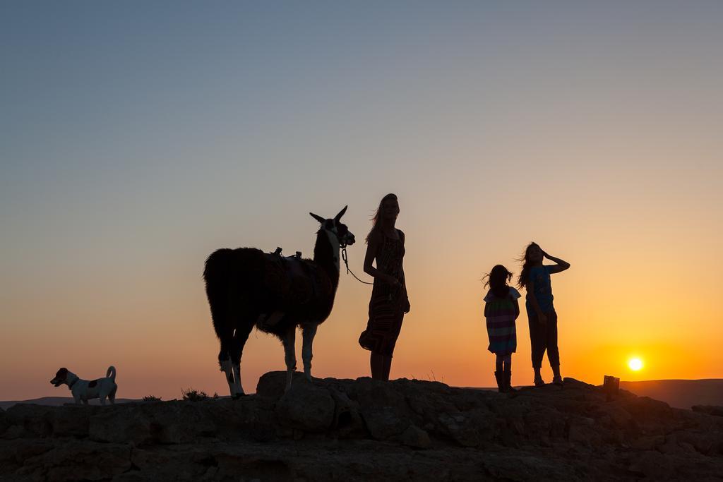 Alpaca Farm - חוות האלפקות Villa Mitzpe Ramon Exteriör bild