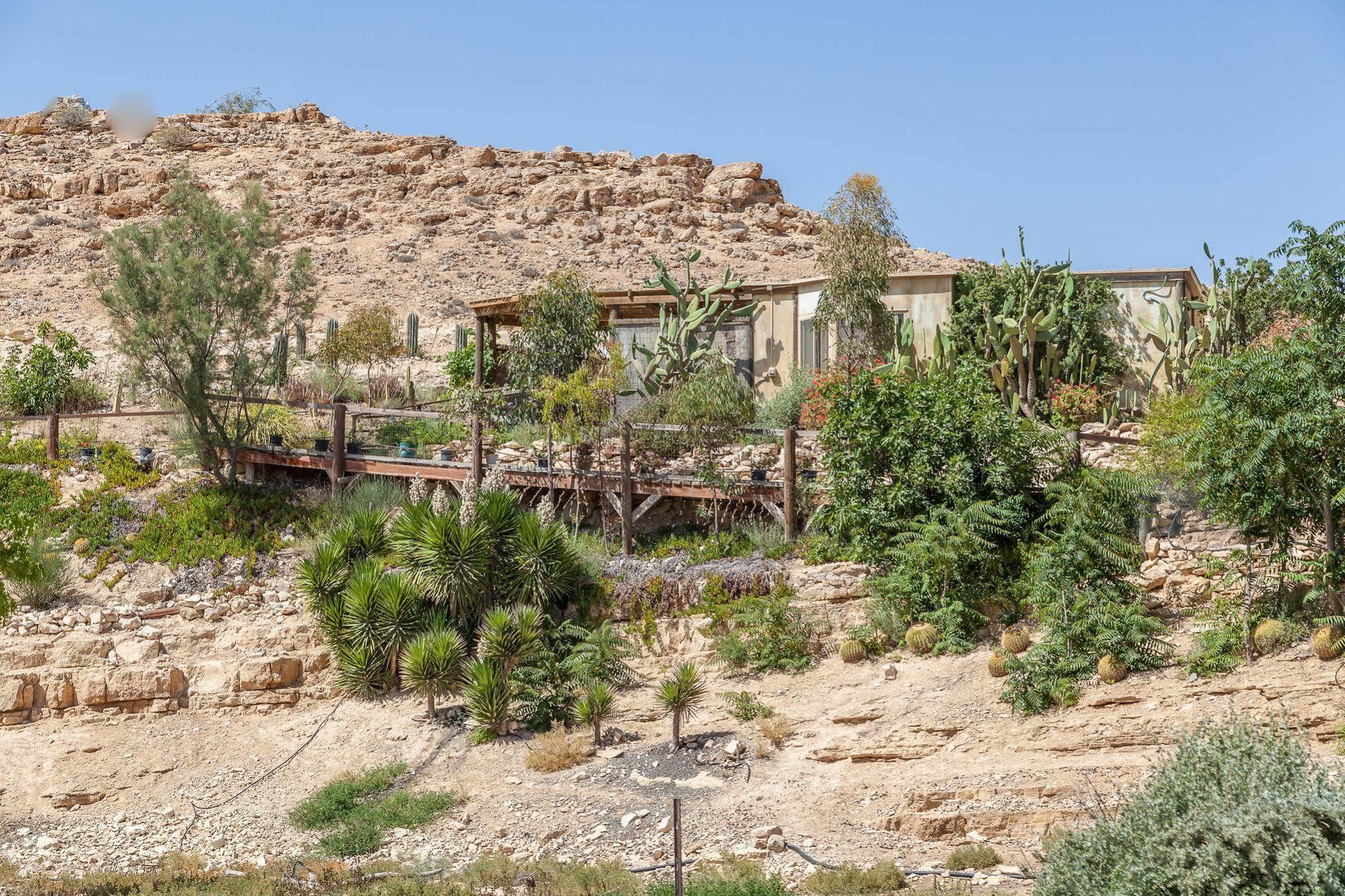 Alpaca Farm - חוות האלפקות Villa Mitzpe Ramon Exteriör bild